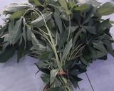 Foto langkah ke 1 dari resep Daun Singkong Masak Santan.