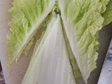 Kebab/Wraps ala rumahan
