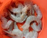 Foto langkah ke 1 dari resep Udang Crispy Asam Manis.