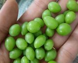 A picture of step 1 of Homemade Verjuice (Abghooreh) – Boiled Method.