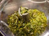 Housemade Pesto Sauce