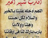 صورة لخطوة 4 من وصفة مكرونه بالصلصه واللحمه المفرومه