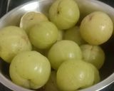 આમળા નો જ્યુસ (Amla Juice Recipe In Gujarati) રેસીપી સ્ટેપ1ફોટો