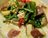 Foto langkah ke 9 dari resep Lodeh Terong Kacang Panjang.