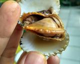 Foto langkah ke 8 dari resep Kerang Dara Nyemek.