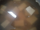Tahu Susu Khas Jombang (garing d luar, lembut lumer d dalam)