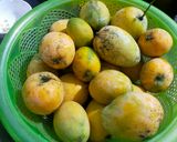 Hình bước làm 1 của món Bánh xoài nha trang
