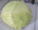 صورة لخطوة 1 من وصفة الملفوف 🌬