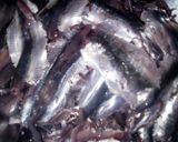 صورة لخطوة 1 من وصفة شطيطحة سردين 🐟