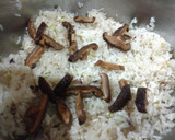 Foto del paso 3 de la receta: Risotto de hongos vegano