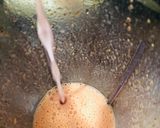 A picture of step 3 of Strawberry Pomegranate Smoothie.