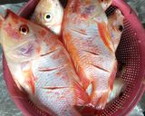 Foto langkah ke 1 dari resep Ikan nila bakar sambal dabu-dabu.