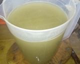 Foto del paso 2 de la receta: Agua de anís natural a la Mario, s