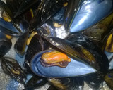 Foto del paso 1 de la receta: Mejillones con tomate