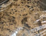 Foto langkah ke 3 dari resep Chocochips Cookies.