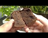 Foto langkah ke 35 dari resep Resep Brownies Kukus Simple Tanpa Oven.