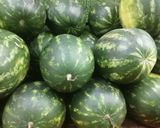 Une image de l'étape 1 de 🍉Pastèque 🍉melon🍋‍🟩farandole de fruits 🫐🍓🍇.