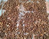 A picture of step 1 of Dal Moth.
