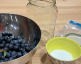 A picture of step 1 of Sloe-boshi (a sacreligious seasonal version of umeboshi).