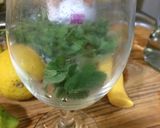 Foto del paso 1 de la receta: Mojito cubano 🇵🇷