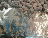 Foto del paso 7 de la receta: Albóndigas con sepia