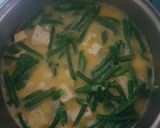 Foto langkah ke 5 dari resep Sayur kikil santan.