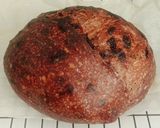 Foto langkah ke 23 dari resep Double Chocolate Sourdough Bread (82%).