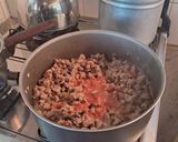 Foto del paso 7 de la receta: Lasaña de fiambre y carne