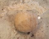 Foto del paso 3 de la receta Pan estilo rústico