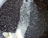 Pas rețetă File de păstrav somonat cu spanac și ricotta 2 fotografie