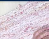 عکس مرحله 2 از دستور کباب خوش گوشت و خوئک