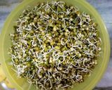 A picture of step 6 of Sprouts veg.