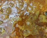 A picture of step 6 of Spicy Curd Chicken.