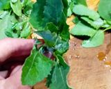 Фото кроку 2 до Салат 🥗 із лободою.