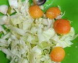 A picture of step 3 of Apple and Cabbage bowl fruit chat.