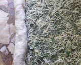 Foto del paso 4 de la receta: Pan trenzado con provenzal y parmesano🧄🌿