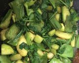 A picture of step 5 of The Green Stew.