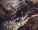 Foto langkah ke 2 dari resep Ikan Sardinella Masak Rica / Ikan Lemuru.