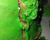 Foto del paso 6 de la receta: Torta de Grinch para Luna!!