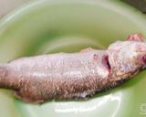 Hình bước làm 1 của món Cá chẽm hấp hành