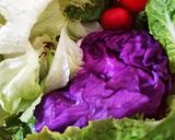Foto langkah ke 1 dari resep Green Salad.
