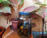 আমের তেল-আচার(amer tel achar recipe in Bengali) রেসিপি ধাপ - 6 ছবি
