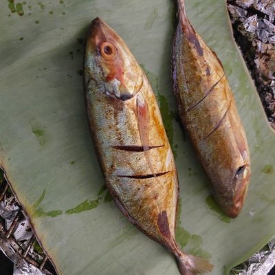 Langkah 3