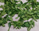 A picture of step 1 of Curry Leaves Podi Chutney.
