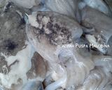 Foto langkah ke 1 dari resep Balakutak Khas Sunda (Cumi Sotong Tinta Hitam) #dirumahaja.