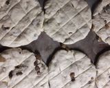 Foto del paso 5 de la receta: Semitas sanjuaninas