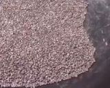 A picture of step 4 of Homemade Sambar masala Powder.