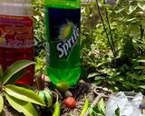 A picture of step 3 of Watermelon chilli Mojito.