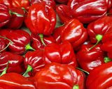 Une image de l'étape 4 de 🍅Tomates🌱 grappes🌶️ farcies caviar🍃 d'aubergine🍆.