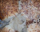 Foto langkah ke 5 dari resep Roti manis bantal🍞🍞.
